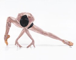 "Ballet Angle"